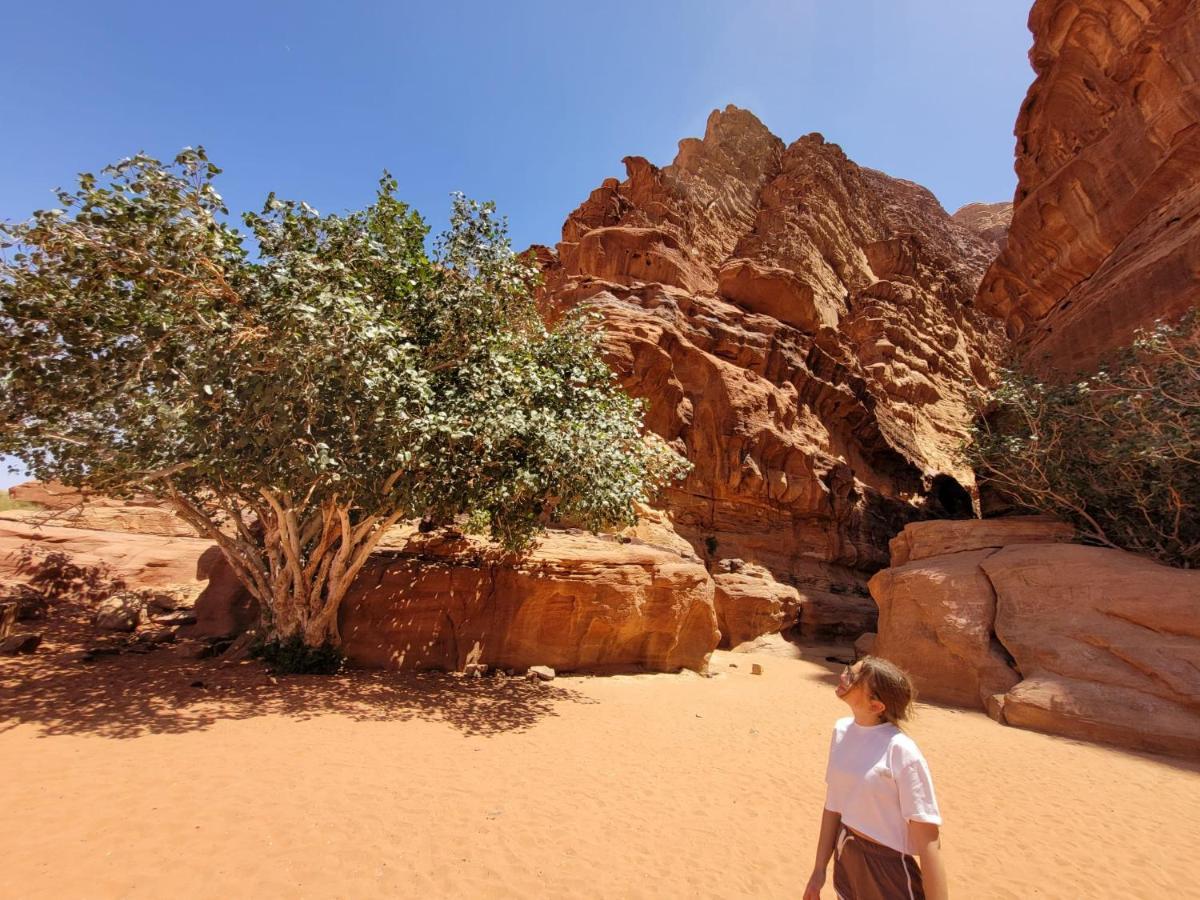Moon City Camp Wadi Rum Extérieur photo